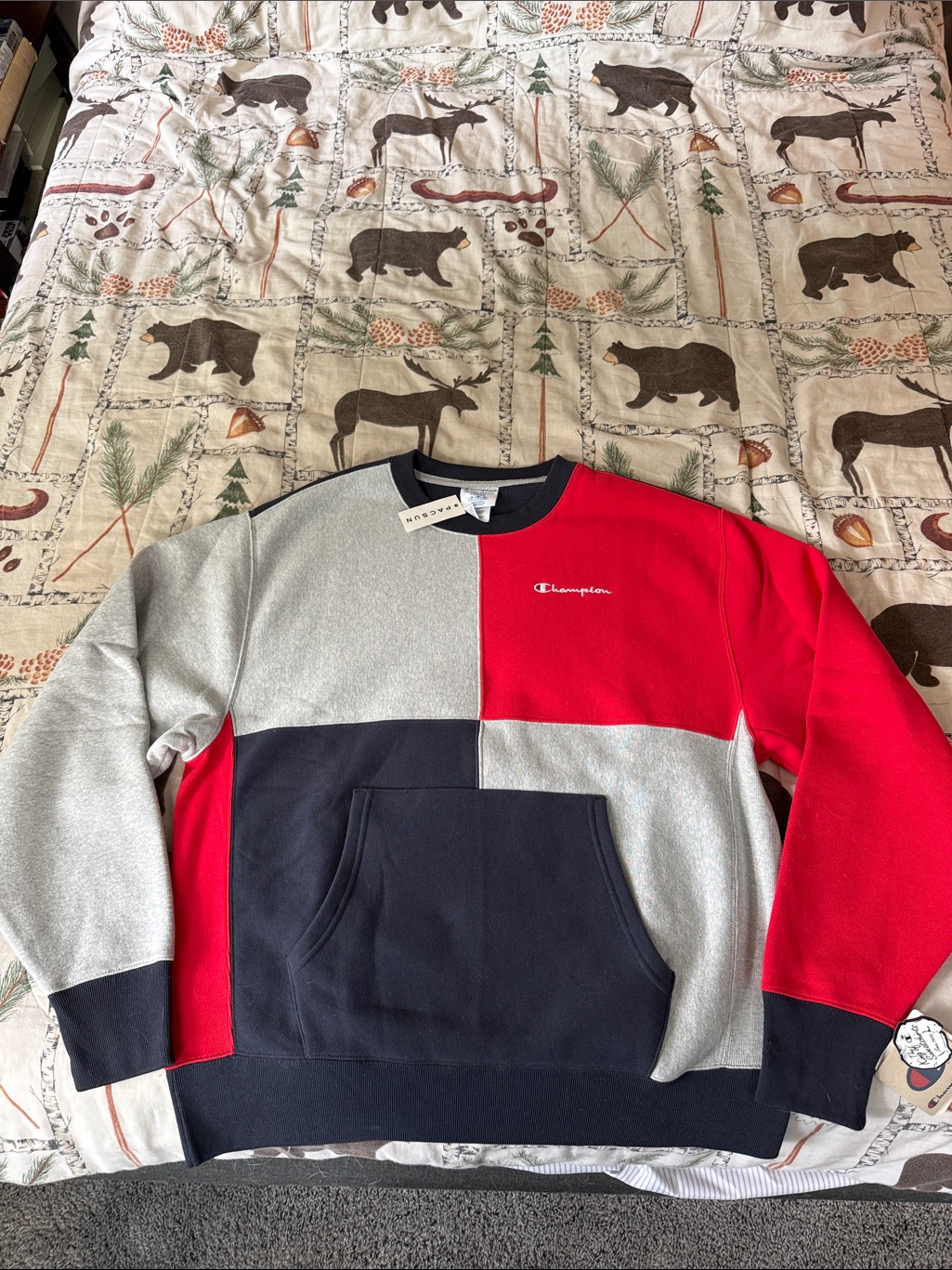 Champion Colorblock Crewneck Sweatshirt-
